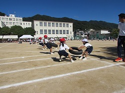 ２０２４年度運動会３.jpg