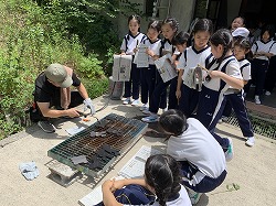 神戸海星女子学院 小学校 スクールライフ